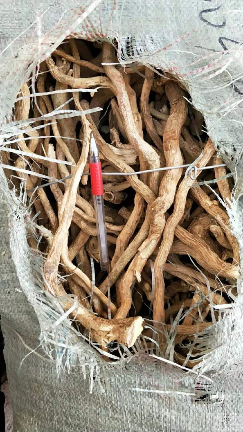 野生黄花倒水莲干货广东本地货