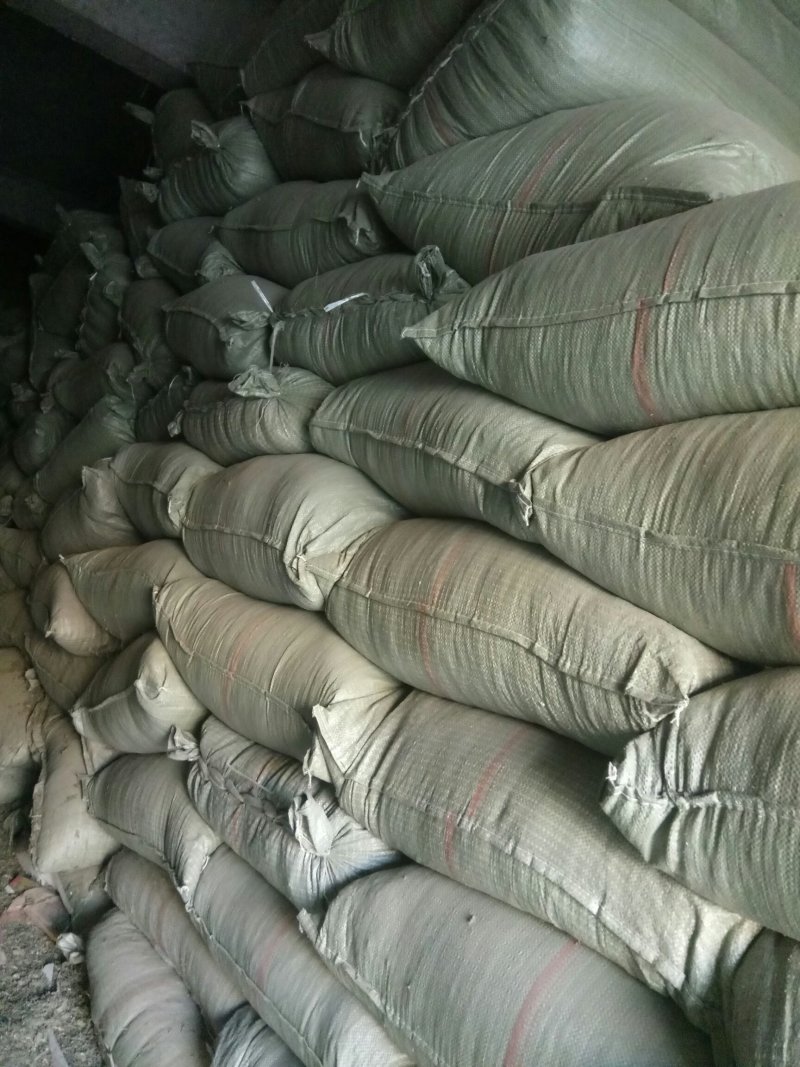 鹅不食草千余品种供应承接订单