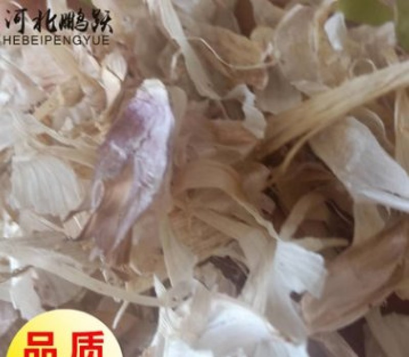 现货直供适口性好植物性饲料级牛羊兔子用大蒜皮内皮外皮