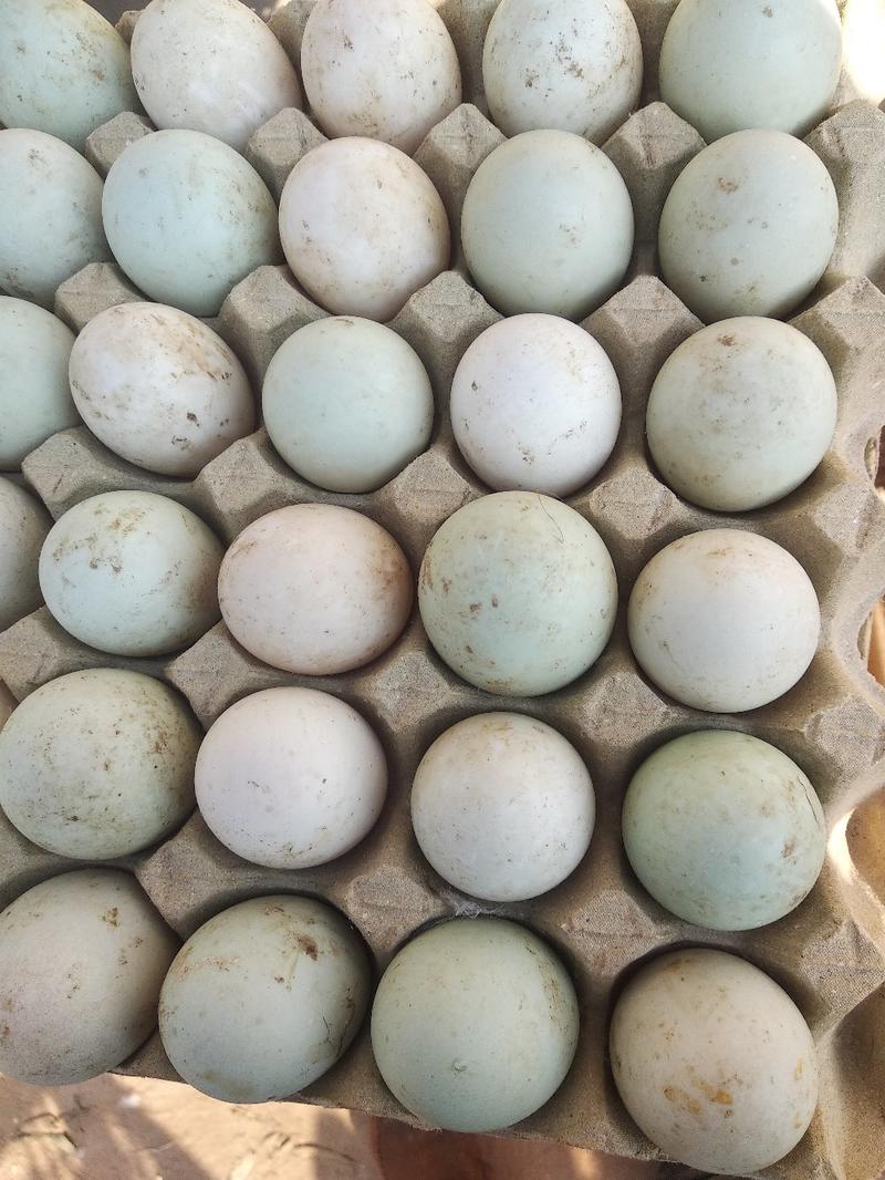 【推荐】鲜鸭蛋一件发货，自家货源，欢迎进店选购，