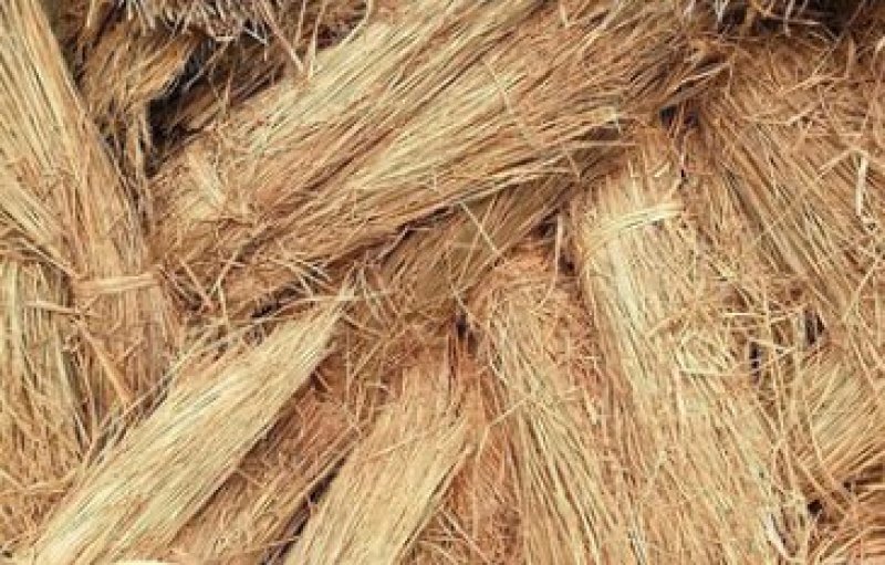 厂家直销内蒙大草原饲料谷草青储牲畜草料量大优惠可
