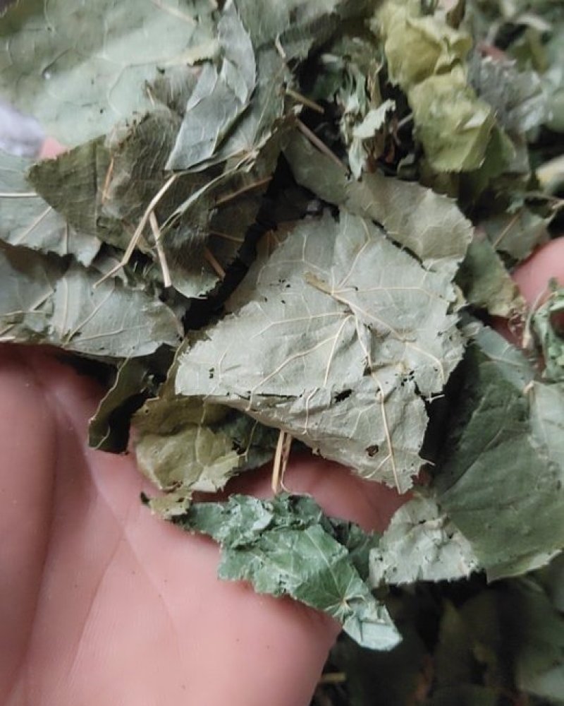 淫羊藿，甘肃小圆叶淫羊藿全叶，新货切片关书药业