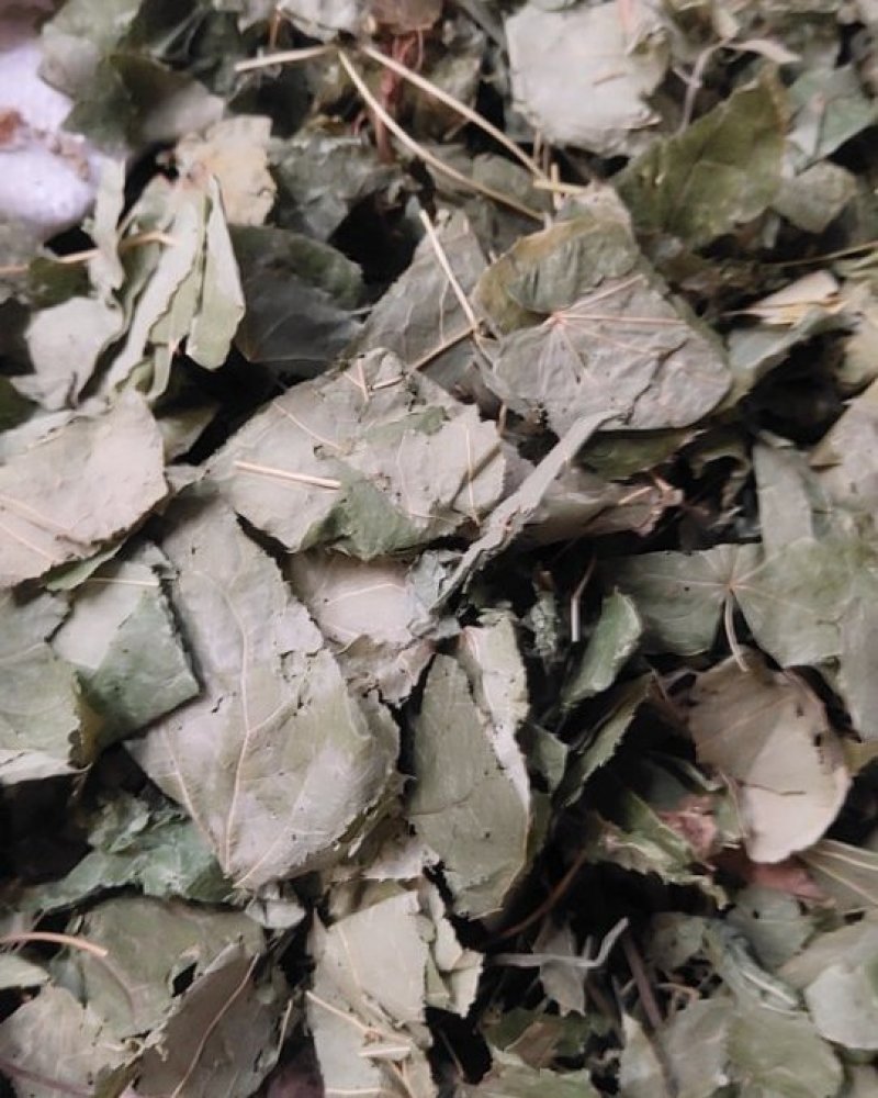 淫羊藿羊油炙淫羊藿新货批发各种规格中药材