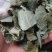 淫羊藿羊油炙淫羊藿新货批发各种规格中药材