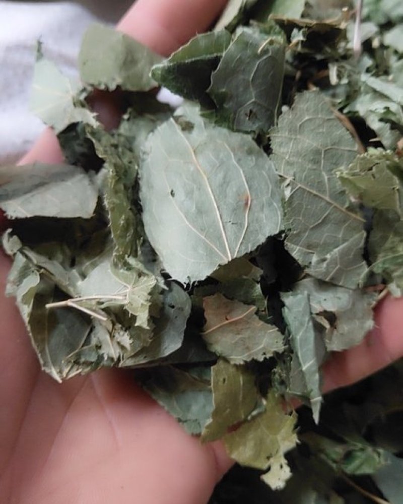 淫羊藿羊油炙淫羊藿新货批发各种规格中药材