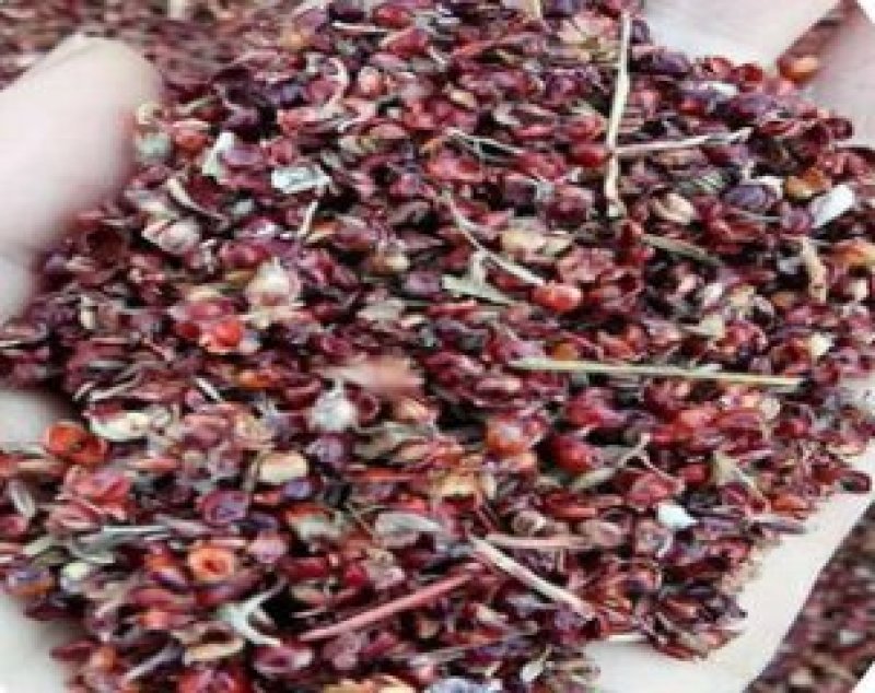 内蒙优质高粱壳精选除尘无杂香包汽车坐垫填充食物菌