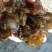 甘肃野生地皮菜，营养丰富