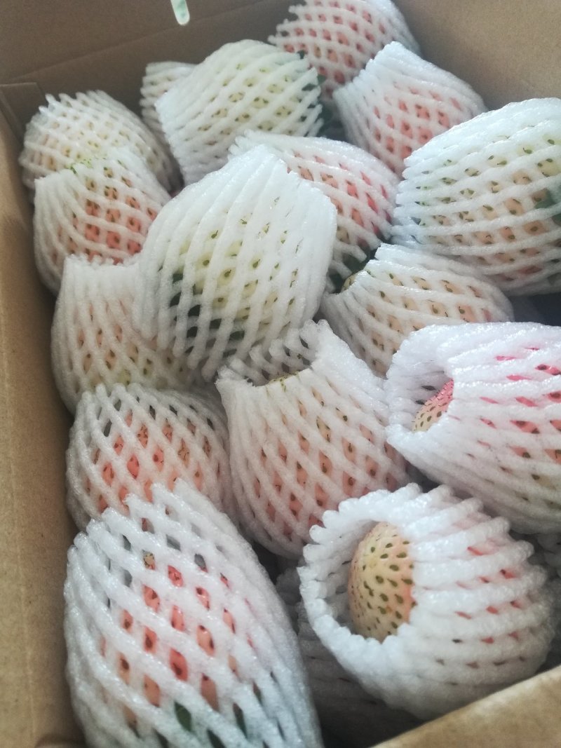 大量甜查理，红颜，桃熏上市欢迎选购