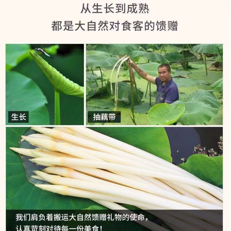 洪湖泡藕带泡菜下饭菜400g