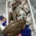 梭子蟹，硬脐母4/6两规格