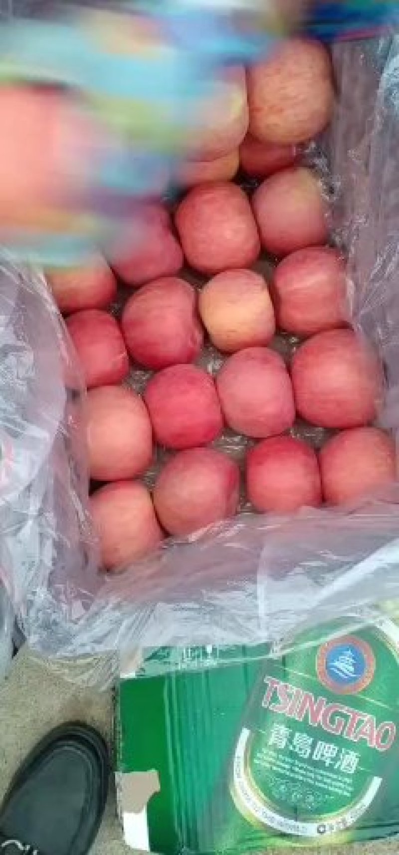 辽南富士苹果以大量上市了，价格合理，诚信第一
