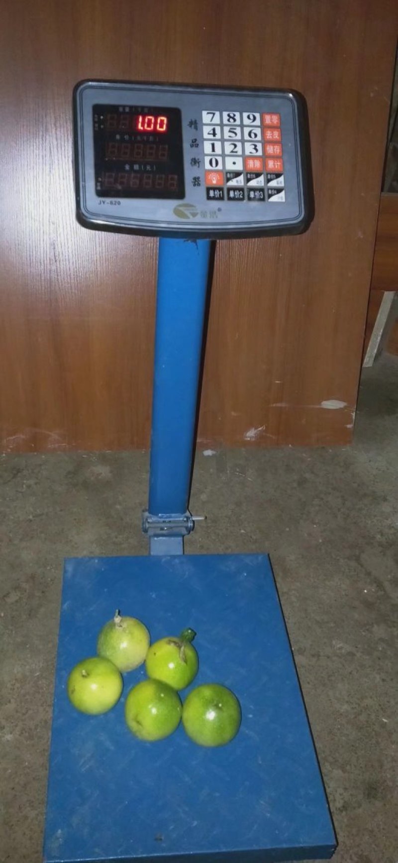黄金百香果苗纯甜芭乐味黄金百香果苗广西百香果苗