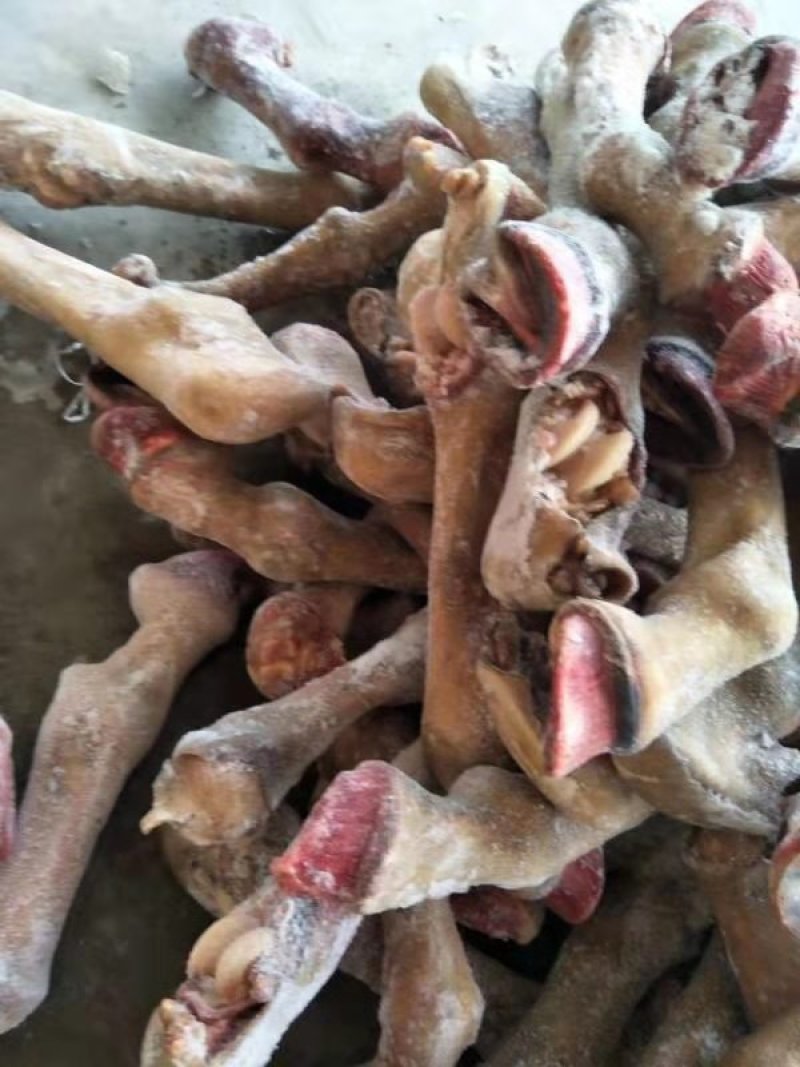 马小腿，去毛带毛马蹄，国产货，新鲜速冻，手续齐全！