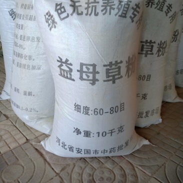 益母草粉