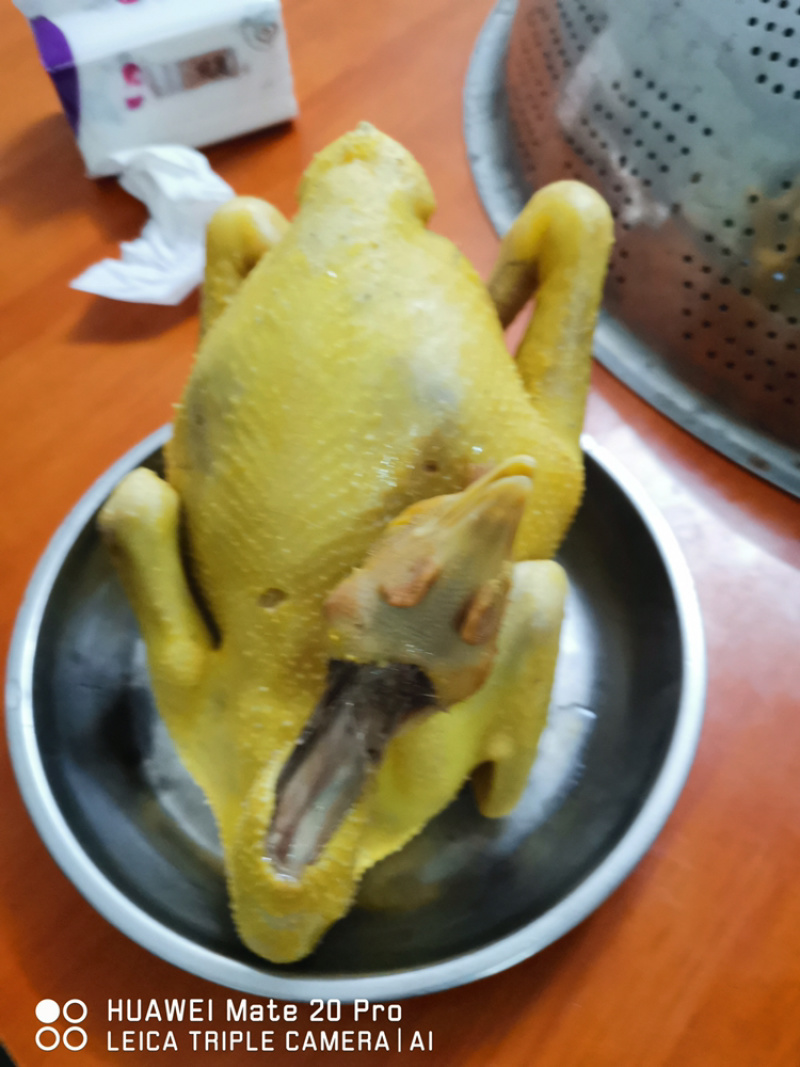 广西大化半野生走地鸡，杂粮喂食，山上放养