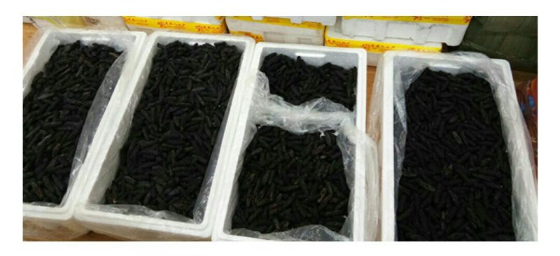 海参辽参（盐干，淡干，纯干）干货