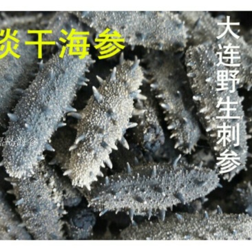 海参辽参（盐干，淡干，纯干）干货
