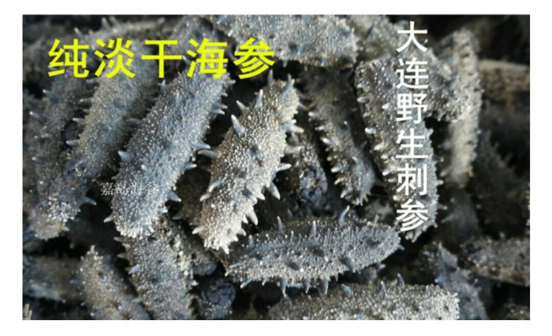 海参辽参（盐干，淡干，纯干）干货