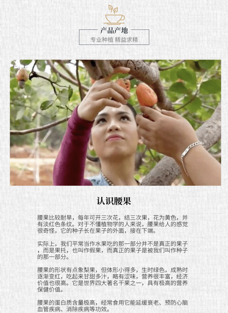 实惠罐装盐焗烘培腰果仁净含量罐装带皮广西腰果仁2斤