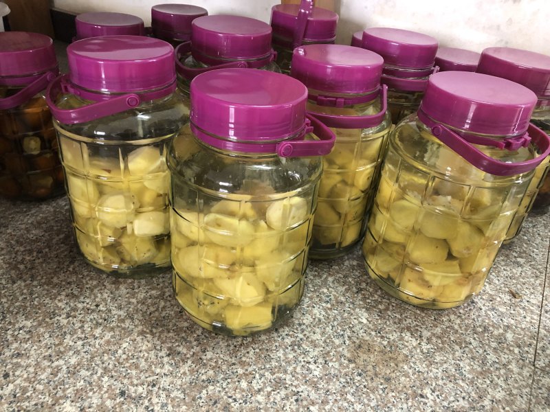 自家烧的小麦烧酒红心猕猴桃酒杨梅酒纯水果烧的酒
