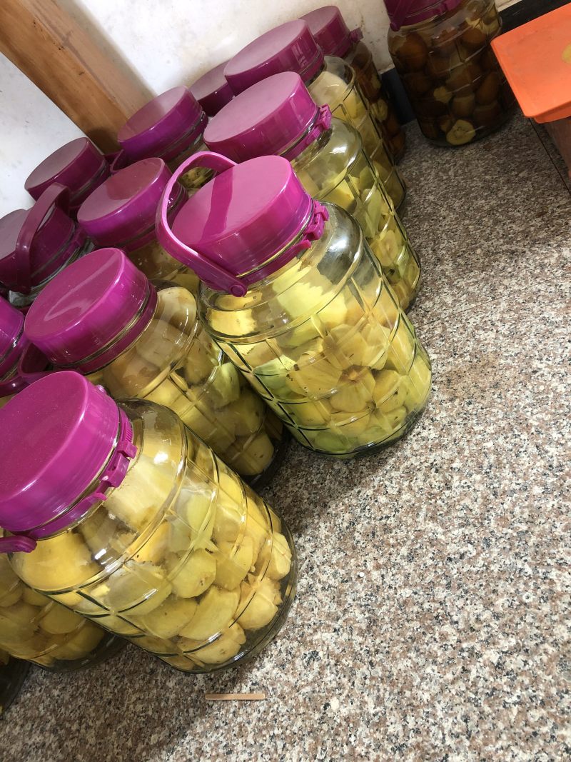 红心猕猴桃酒杨梅酒小麦烧酒纯水果烧的酒