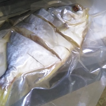 金昌鱼干。。。。。。。。。。。。。。。。。