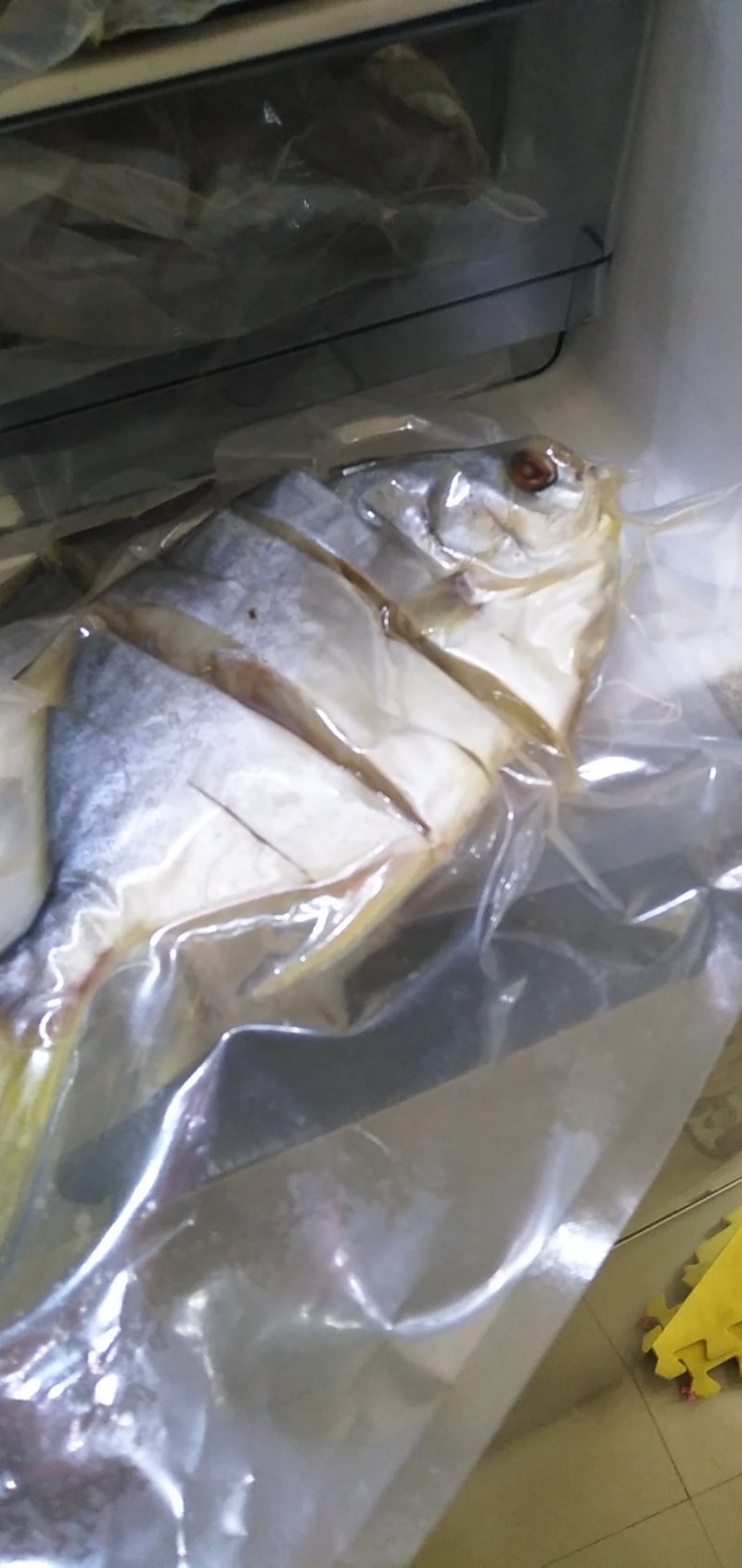 金昌鱼干。。。。。。。。。。。。。。。。。