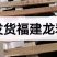 二元母猪价格、产崽多、抗病能力强、生长快、全国包邮