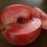 苹果苗:维纳斯苹果苗烟富苹果苗红肉苹果苗柱状苹果苗黑苹果