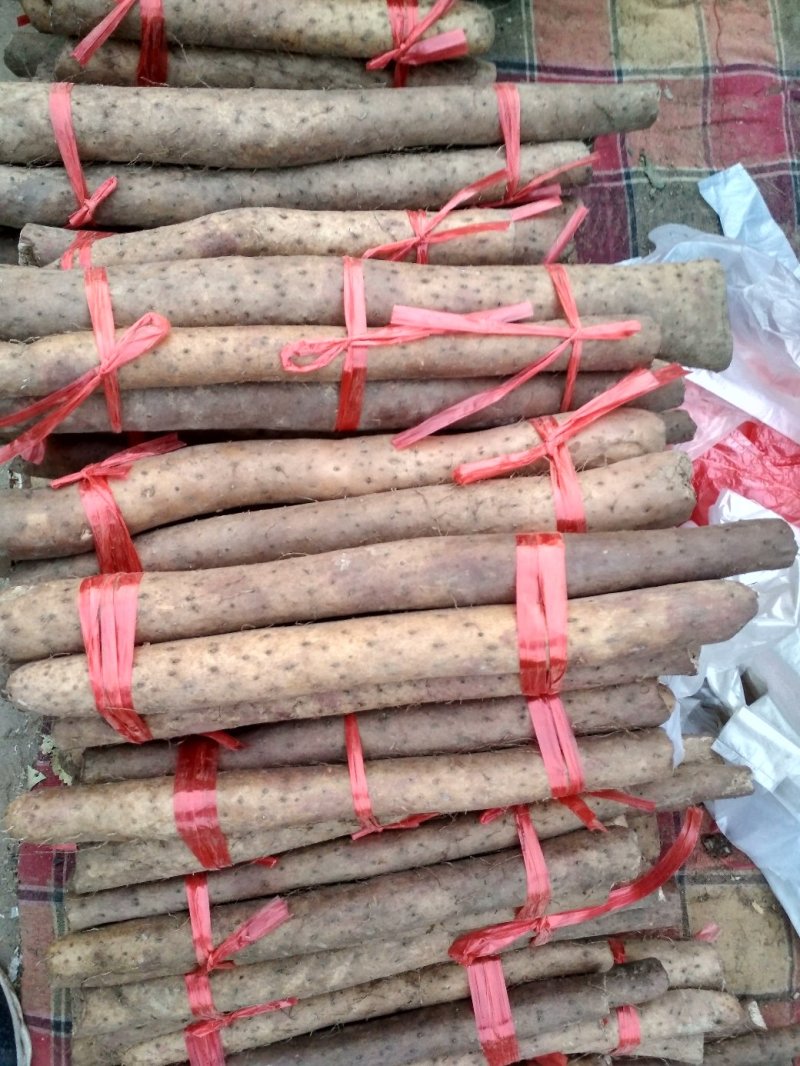 山药，大脚牙可以当种用量大优惠，欢迎各地采购商过来选购