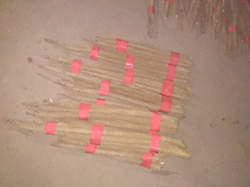 白玉山药，品种繁多，量打优惠