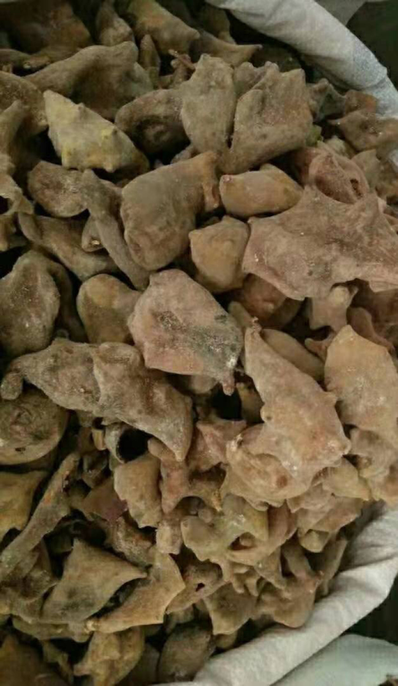 五倍子【包邮】三斤起发货可批量可零售量大从优
