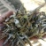 供应优质驴马牛用绿豆皮壳花生秧秸秆过筛除尘无地膜