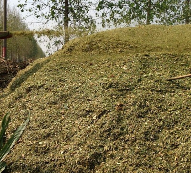 供应优质驴马牛用绿豆皮壳花生秧秸秆过筛除尘无地膜