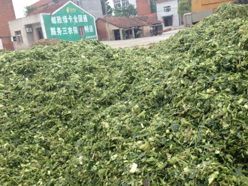 供应优质驴马牛用绿豆皮壳花生秧秸秆过筛除尘无地膜