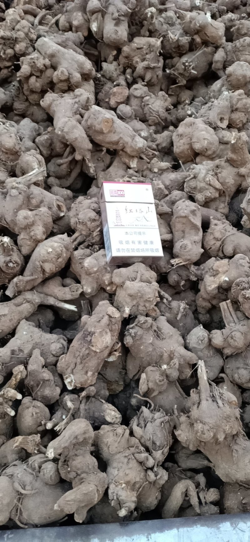 白术芽干货！大白术大统装、小统装、选装各种规格
