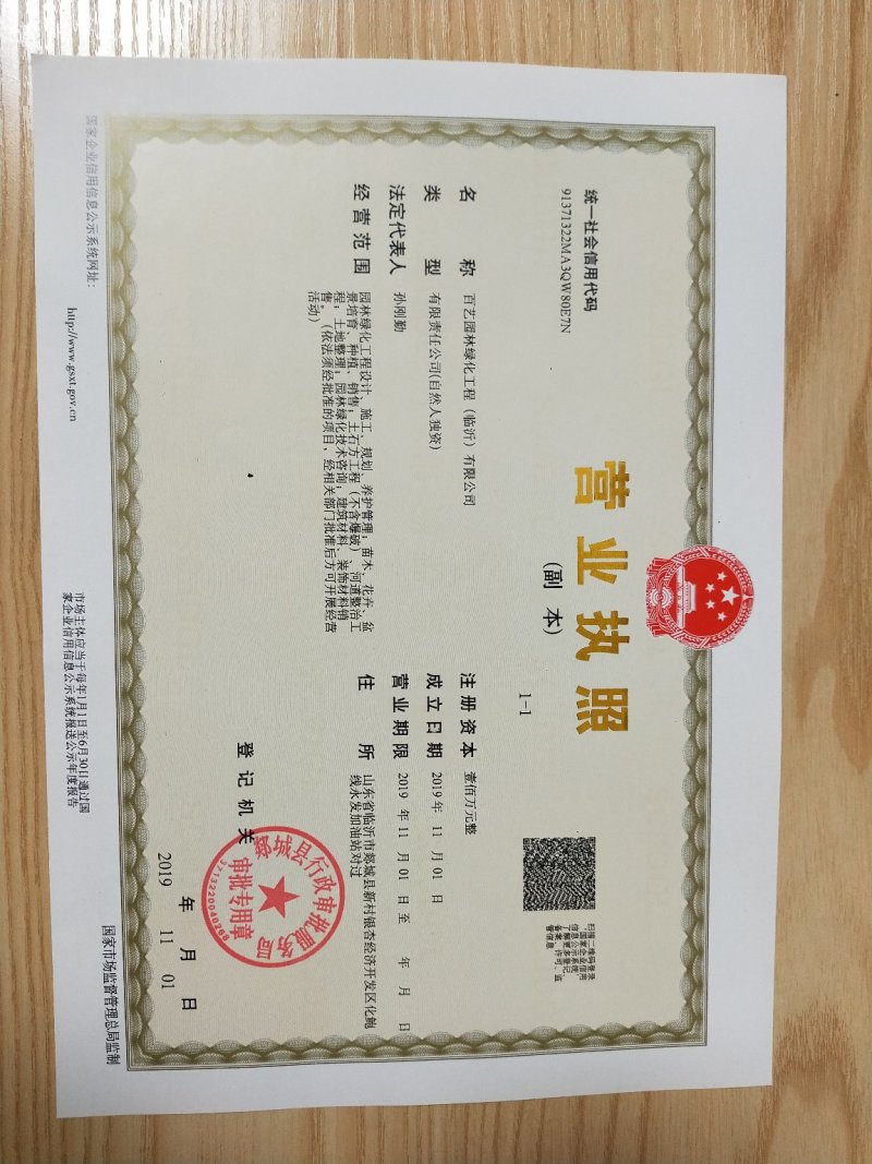 国槐