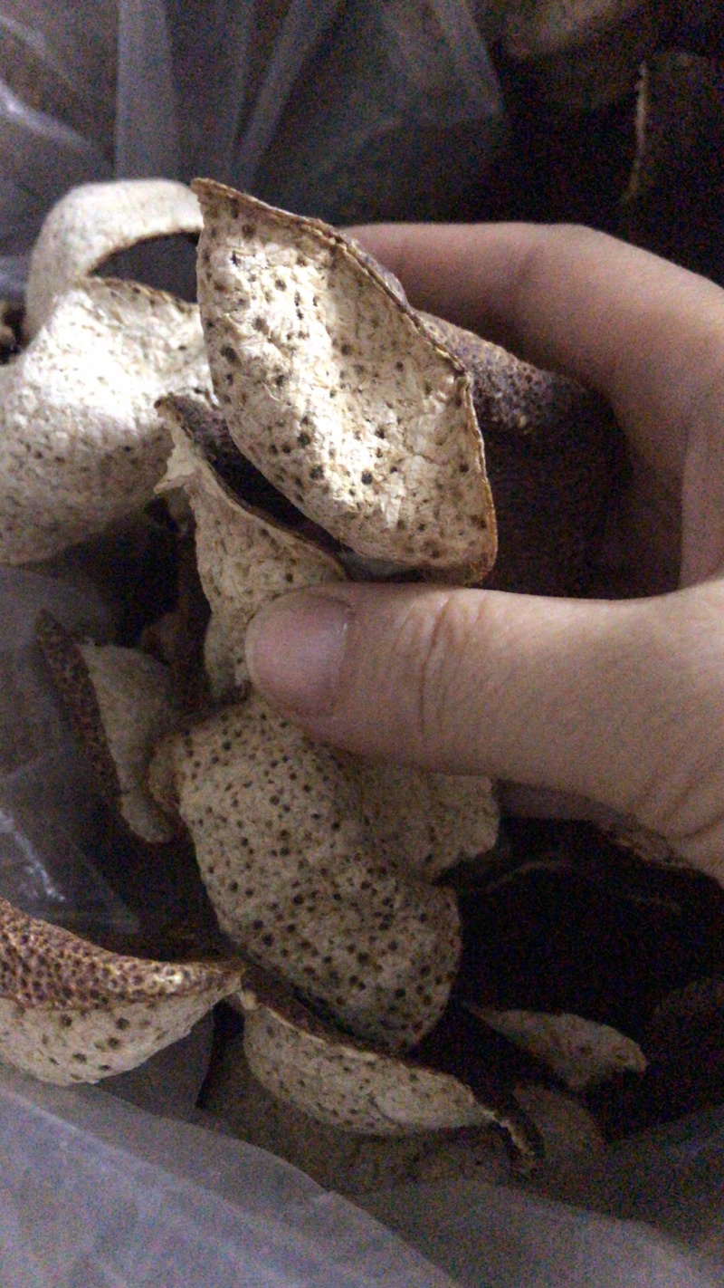 包邮5年正宗新会陈皮新会核心产区天马村生态基地可视频看货