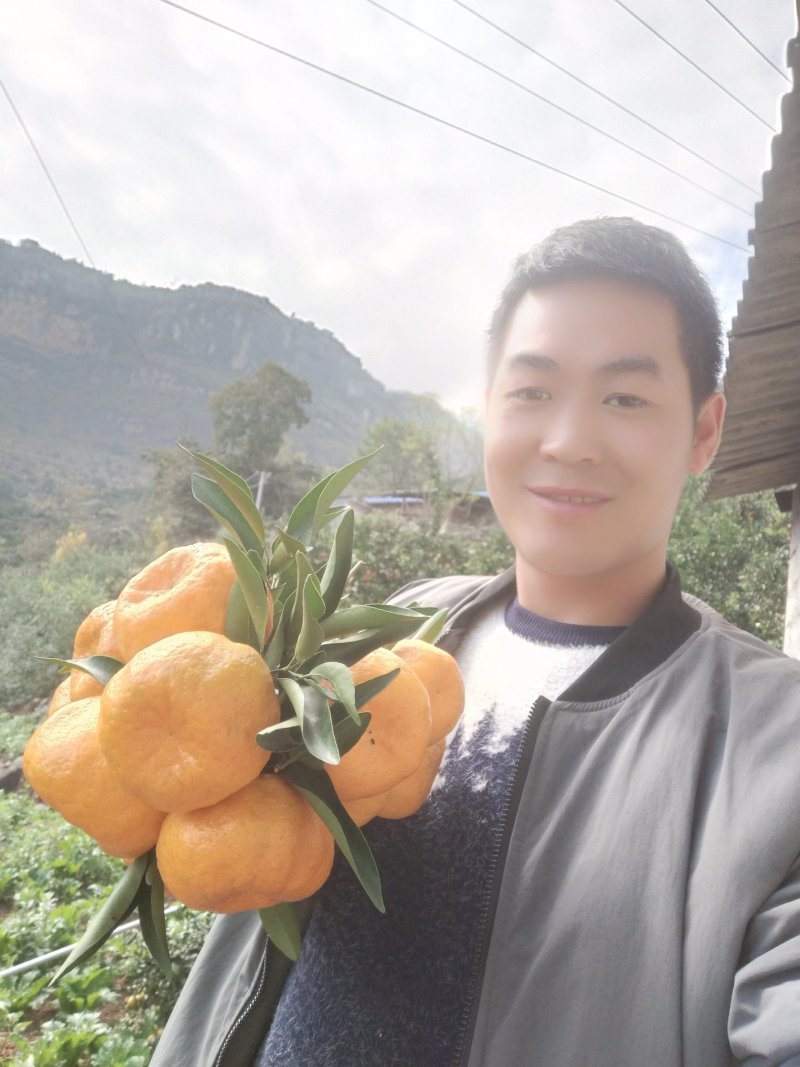 脐橙