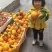 脐橙