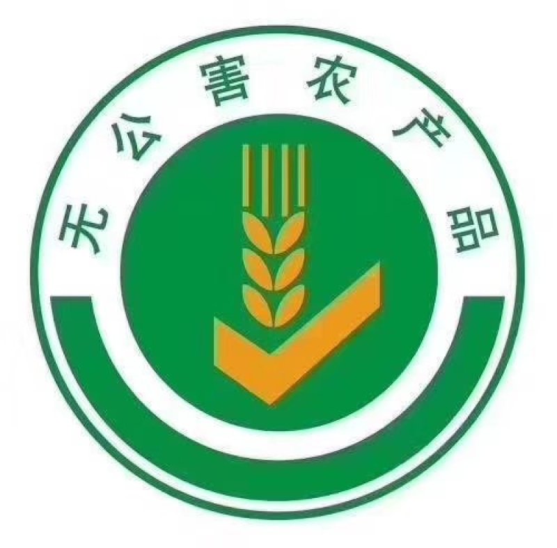 脐橙