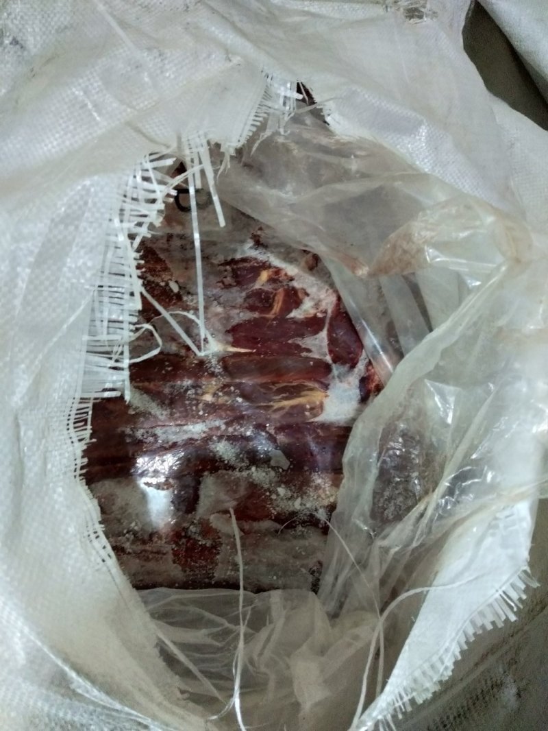 超低价处理一批蒙古马肋条，质量优