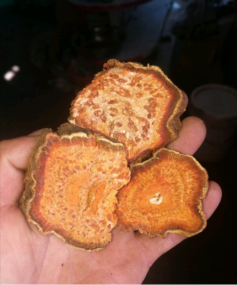 大黄粉，马蹄大黄，超细粉，无硫无添加，过药检，全国包邮。