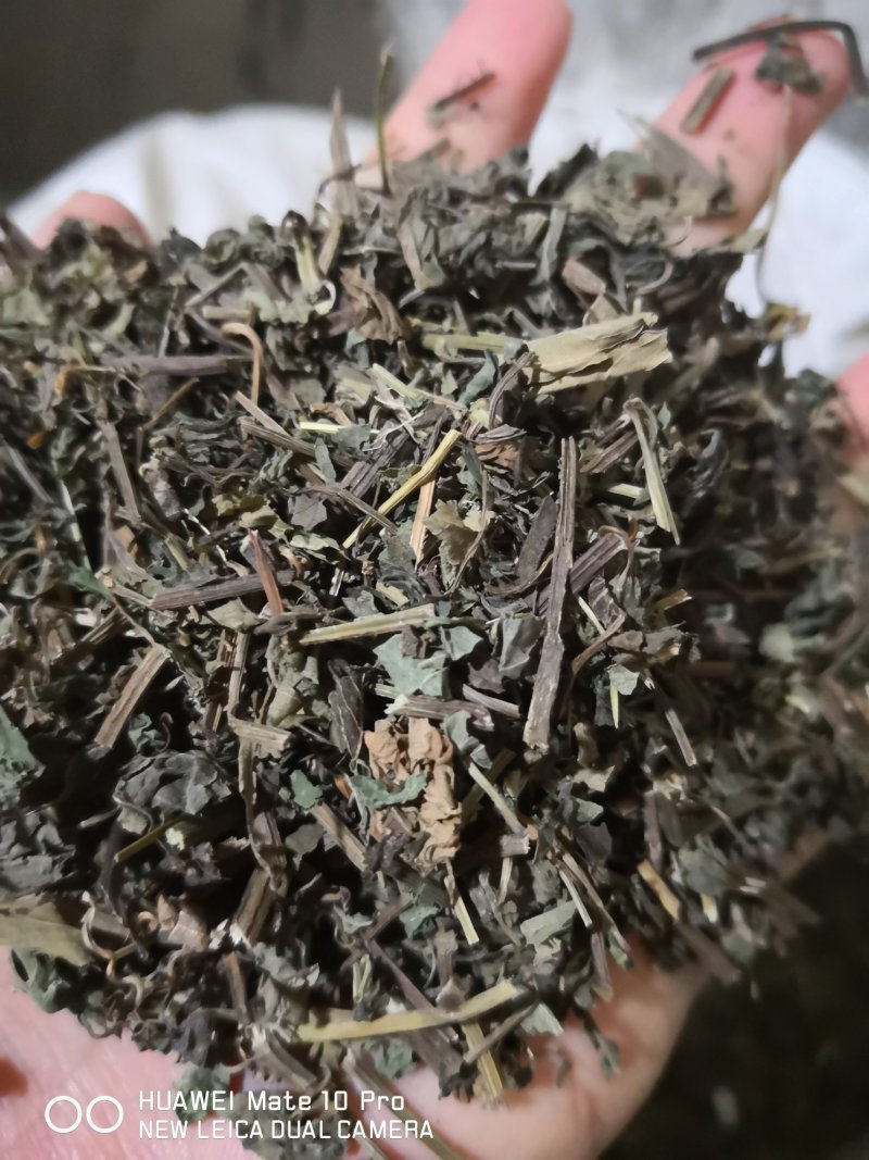 绞股蓝药用草药陕西干货苦味够含量量大从优