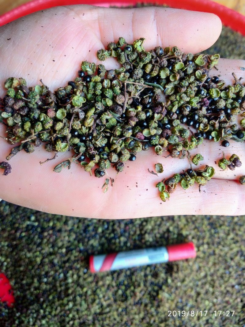 贵州铜仁无硫带籽野生花椒干货土花椒枝叶少产地直发洗澡泡脚