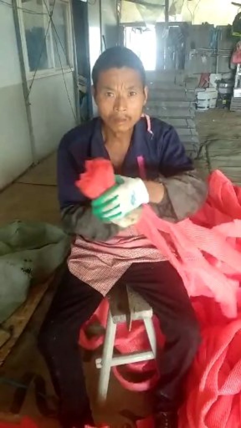 早春红玉西瓜产地直供商场超市批发市场欢迎客户前来采购