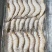 南美白对虾德贤冷冻食品！低温速冻，食材保鲜！全国发货