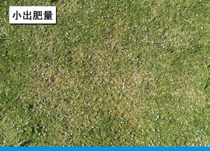 手摇式撒播器农用小麦水稻施肥器撒肥机手动多功能撒化肥种子