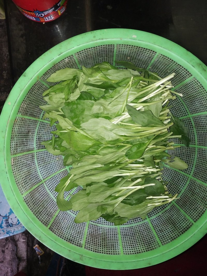 马兰头有机绿色健康蔬菜马兰头