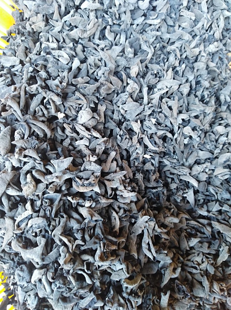 黑木耳特级东北黑木耳诚信经营品质保证欢迎洽谈